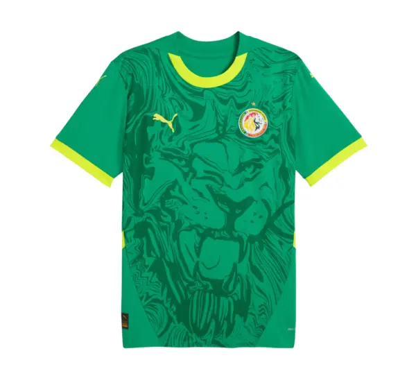 Camiseta Senegal 24/25 2ª equipación